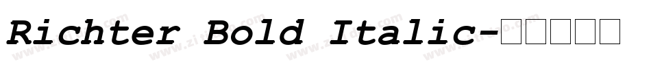 Richter Bold Italic字体转换